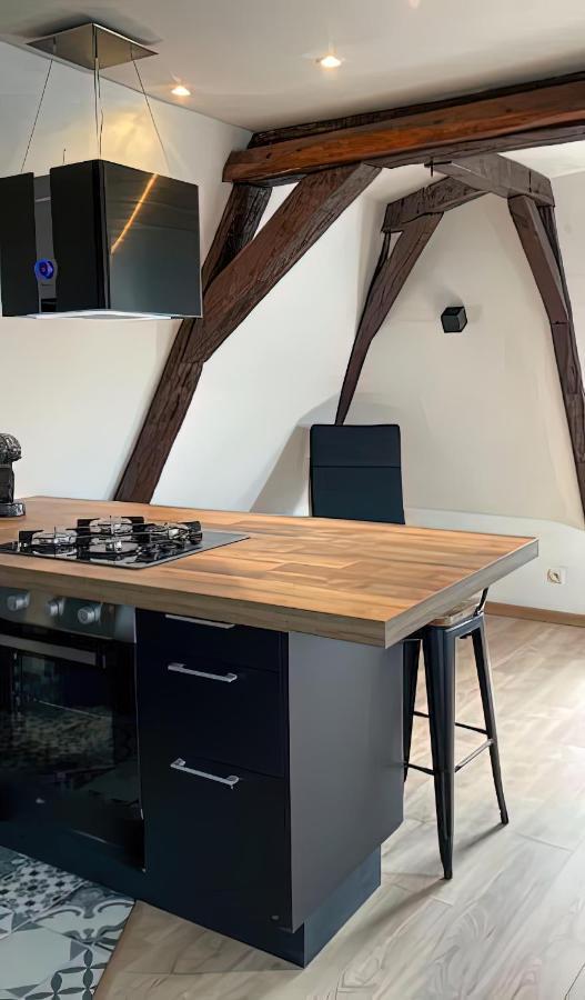 Vue Sur La Cathedrale - Au Coeur De Bourges Apartment Екстериор снимка